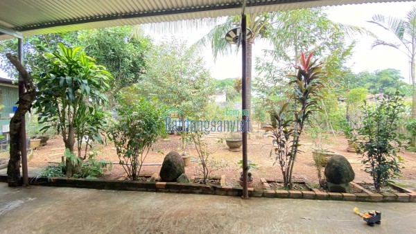 Nhà thuộc phú hội cũ - đức trọng / lâm đồng – khu dân cư