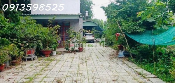 Cần chuyển chỗ ở, bán nhanh lô đất 1500m2, 280 tr, cây trái đầy đủ, 1 nhà cấp 4