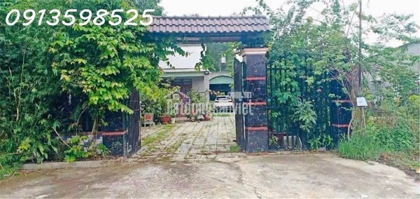 Cần chuyển chỗ ở, bán nhanh lô đất 1500m2, 280 tr, cây trái đầy đủ, 1 nhà cấp 4