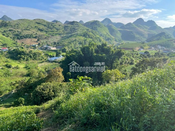 🌿 Siêu phẩm đất nghỉ dưỡng 1,2ha tại Mộc Châu – View đồi chè tuyệt đẹp, độc nhất thị trường