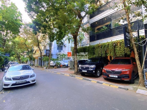 🔅 Bán Nhà Mặt Phố Châu Long, Ba Đình 280m2 3T, Mặt Tiền Đẹp 10m, Xây Tòa VIP, Chỉ 90 Tỷ 🔅
