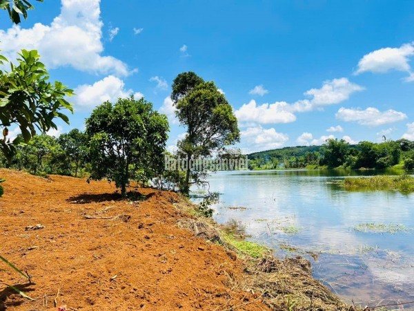 Bán đất làm vườn 1.000m2 - TP. Đồng Xoài. Giá 300tr, LH. 0902.518292