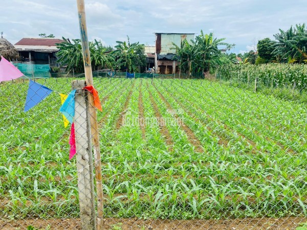 Đất đẹp Phong Thử 3 - Điện Thọ - Điện Bàn diện tích lớn làm nhà đẹp