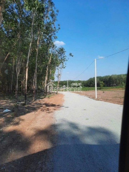 ĐẤT ĐẸP TIỀM NĂNG PHÁT TRIỂN BÌNH PHƯỚC .TRƯỚC CỔNG KHU CÔNG NGHIỆP 7,370M MINH HƯNG SIKICO