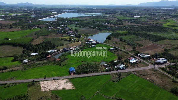 LÔ ĐẤT VÀNG LONG TÂN, ĐẤT ĐỎ – GIÁ RẺ MẶT TIỀN ĐƯỜNG NHỰA SỔ SẴN