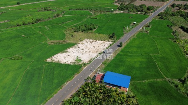 LÔ ĐẤT VÀNG LONG TÂN, ĐẤT ĐỎ – GIÁ RẺ MẶT TIỀN ĐƯỜNG NHỰA SỔ SẴN