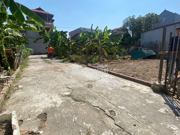 BÁN ĐẤT 79.7M2 ĐẤU GIÁ LƯƠNG QUY XUÂN NỘN ĐÔNG ANH - GIÁ ĐẦU TƯ CHỈ 5,X TỶ