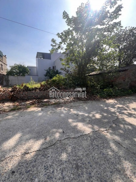 BÁN ĐẤT 79.7M2 ĐẤU GIÁ LƯƠNG QUY XUÂN NỘN ĐÔNG ANH - GIÁ ĐẦU TƯ CHỈ 5,X TỶ