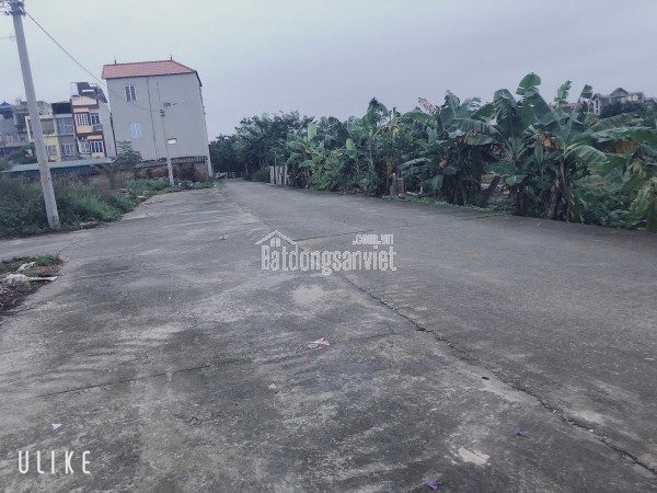 BÁN ĐẤT 79.7M2 ĐẤU GIÁ LƯƠNG QUY XUÂN NỘN ĐÔNG ANH - GIÁ ĐẦU TƯ CHỈ 5,X TỶ