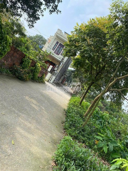 BÁN ĐẤT 79.7M2 ĐẤU GIÁ LƯƠNG QUY XUÂN NỘN ĐÔNG ANH - GIÁ ĐẦU TƯ CHỈ 5,X TỶ
