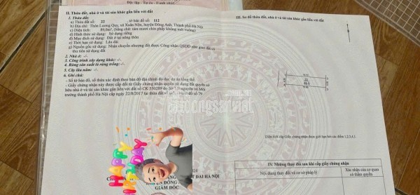 BÁN ĐẤT 79.7M2 ĐẤU GIÁ LƯƠNG QUY XUÂN NỘN ĐÔNG ANH - GIÁ ĐẦU TƯ CHỈ 5,X TỶ