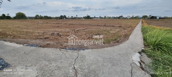 Bán gấp lô đất lúa hai mặt tiền xã Đức Tân giá 800 triệu