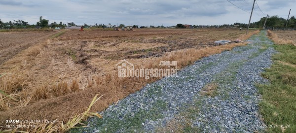Bán gấp lô đất lúa hai mặt tiền xã Đức Tân giá 800 triệu