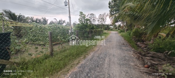 Bán lô đất lúa chuyển thổ làm nhà vườn giá 1,3 tỷ