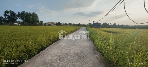 Bán đất lúa chuyển thổ phân lô hai mặt tiền giá 2,5 tỷ