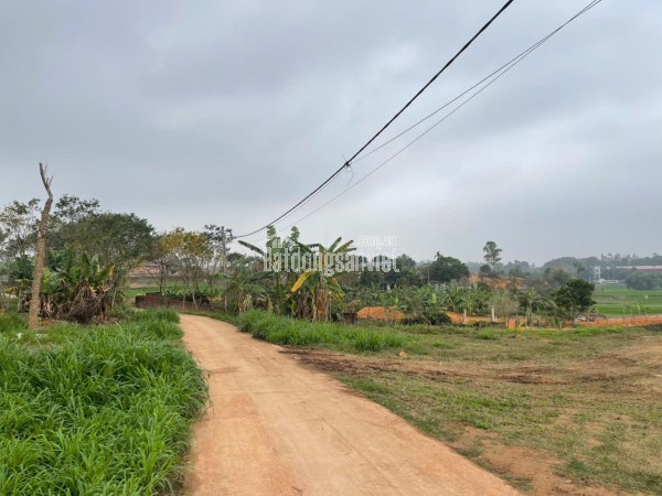 Lô đất trục chính, Điện Biên Phủ. Vĩnh Hòa, Nha Trang, Khánh Hòa