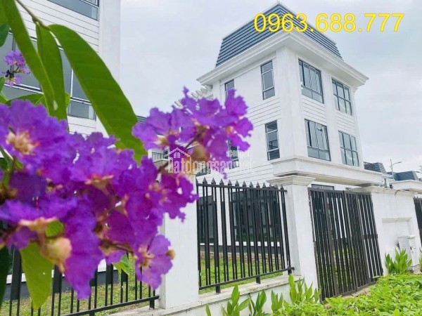 CC bán đất lô góc Quang Minh 50m,giá đầu tư,lô góc đẹp,ô tô tránh