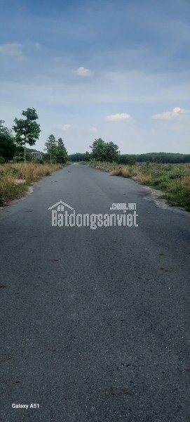 BÁN ĐẤT PHƯỜNG CHÁNH PHÚ HOÀ TP BẾN CÁT. NÀM CẠNH TP MỚI BÌNH DƯƠNG