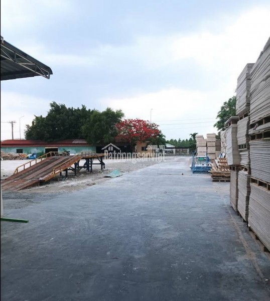 BÁN GẤP 10.000M2 ĐẤT NÔNG NGHIỆP - HÒA PHÚ, THỦ DẦU MỘT, BÌNH DƯƠNG - GIÁ CHỈ 90 TỶ - SỔ HỒNG