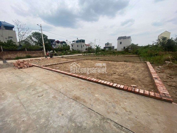 CC bán Đất TT Quang Minh,full TC 50.6m,mt4m,giá đầu tư
