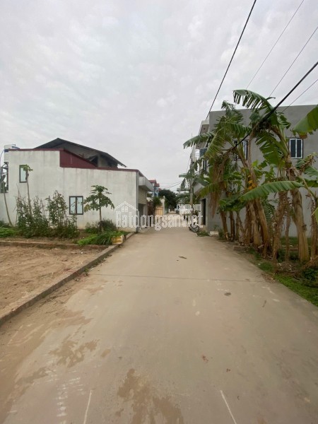 CC bán Đất TT Quang Minh,full TC 50.6m,mt4m,giá đầu tư