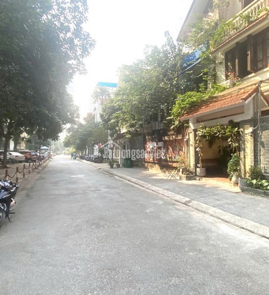 Bán nhà Hoàng Sâm, Cầu Giấy, Oto 7 chỗ, 120m2, 4T, MT6m, nhỉnh 30 tỷ.