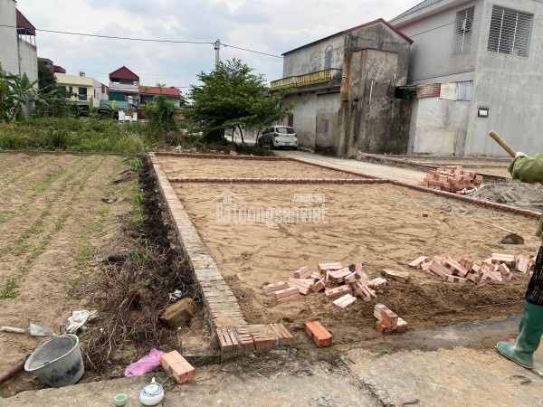 Đất lô góc Quang Minh 50m,giá đầu tư,lô góc đẹp,ô tô tránh,chính chủ