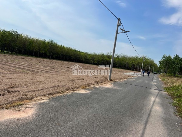 Bán đất ĐT 741, 1,26 tỷ, 339m2 tại Chánh Phú Hòa, Bến Cát, Bình Dương giá tốt