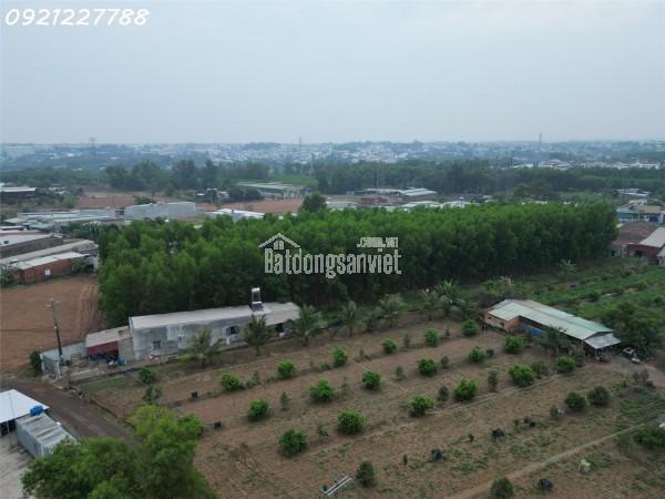 Bán 1000 m²  xã Bình Minh gần ngay QL1A đường nhựa lớn dân cư đông đúc giá chỉ  hơn 2 tỷ