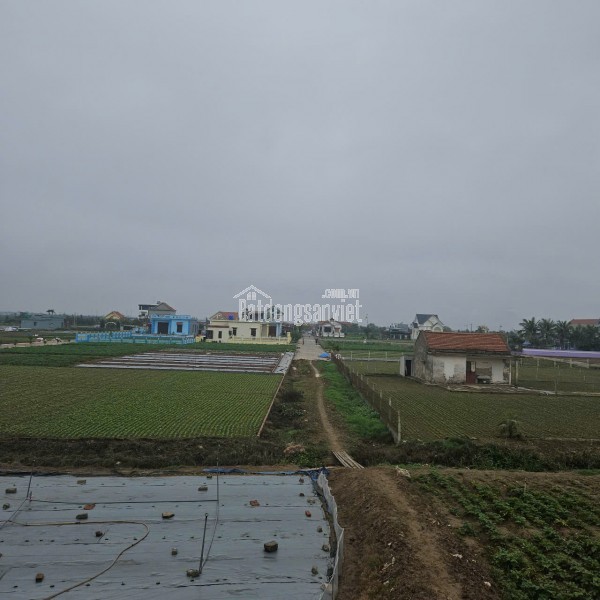 Cần chuyển nhượng gấp lô đất đối diện khu nghỉ dưỡng (do khó khăn tài chính)