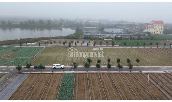 Cần chuyển nhượng gấp lô đất đối diện khu nghỉ dưỡng (do khó khăn tài chính)