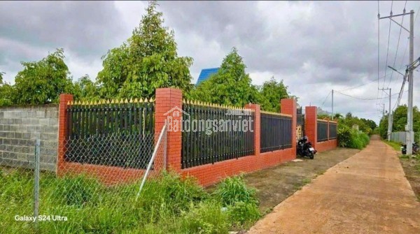 CẦN BÁN GẤP VƯỜN SẦU RIÊNG CÓ NHÀ CẤP 4 DỌN VÀO Ở NGAY ĐIỆN NƯỚC ĐẦY ĐỦ ..