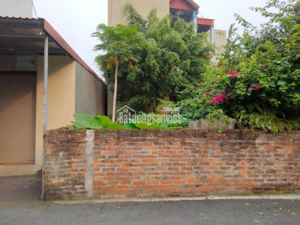 Bán đất tại The Beverly - Vinhomes Ocean Park, 110 triệu / m2, 56 m2, Gia Lâm, Hà Nội