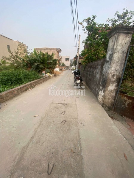 LÔ GÓC 50M TT QUANG MINH,MÊ LINH,DÒNG TIỀN,KINH DOANH,Ô TÔ VÀO