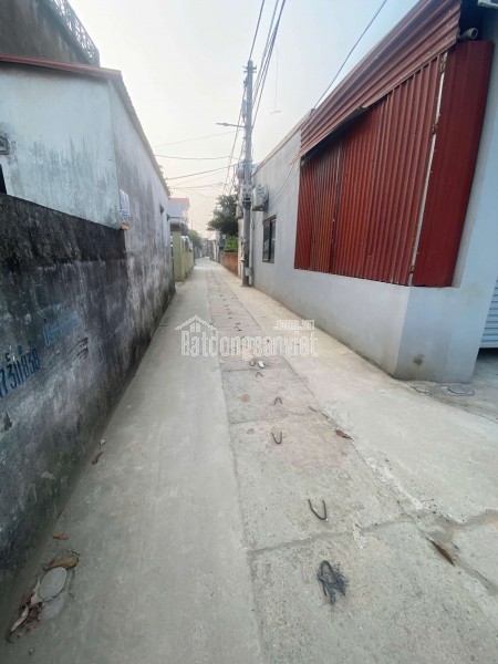 LÔ GÓC 50M TT QUANG MINH,MÊ LINH,DÒNG TIỀN,KINH DOANH,Ô TÔ VÀO