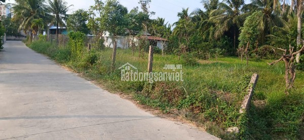 NGỘP, cần bán nhanh Nhà cấp 4 trong khu đất rộng 2.260m2 ngay sát QL1A. Thạnh Phú, Châu Thành, TG