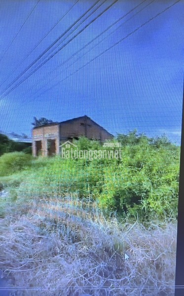 Chính chủ ở Hồ Chí Minh cần bán gấp 2400m2 đất Châu Thành - Long An