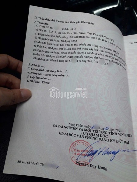 Bán đất tại Thị trấn Tam Đảo, Huyện Tam Đảo, Vĩnh Phúc giá 24 tỷ 300 triệu