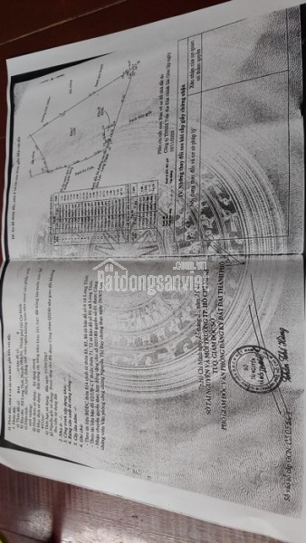 TRANG TRẠI BÁN TỰ NHIÊN HƠN 5056M2 - NGUYỄN HỮU THỌ NHÀ BÈ - 16,2 TỶ