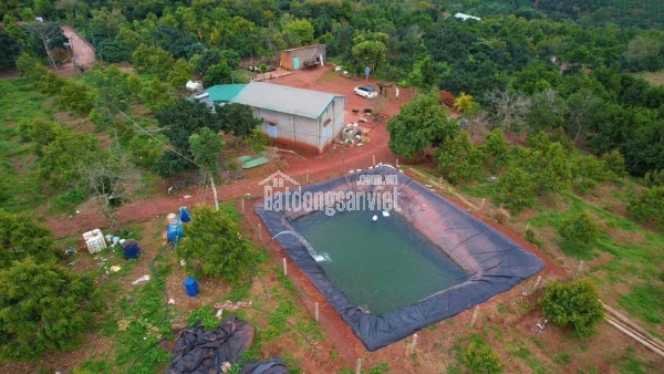 CHÍNH CHỦ BÁN ĐẤT TẠI THÔN 8 , HUYỆN EA H’ LEO, TỈNH ĐẮK LẮK