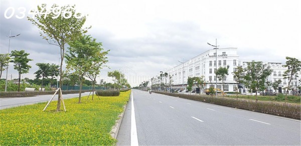 Bán đất Tân Lập – Gần Tây Thăng Long – 61m², ô tô 16 chỗ qua gần Vin giá TL.
