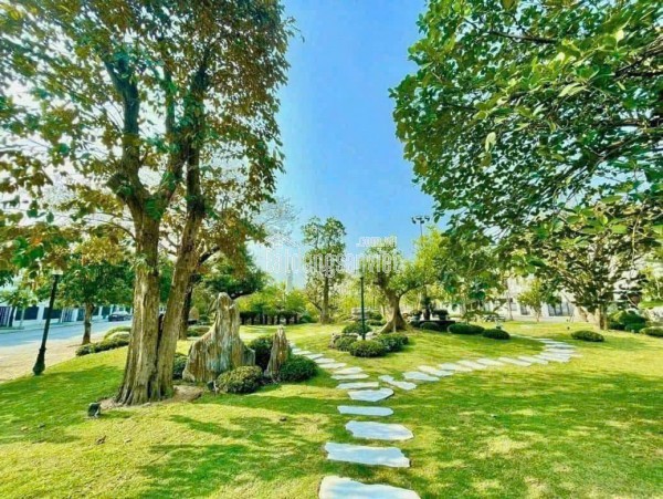 Anh hàng xóm gử.i bá.n lô đất tại Phường Hoà Bình, Thủy Nguyên, Hải Phòng để có tiền cưới vợ
