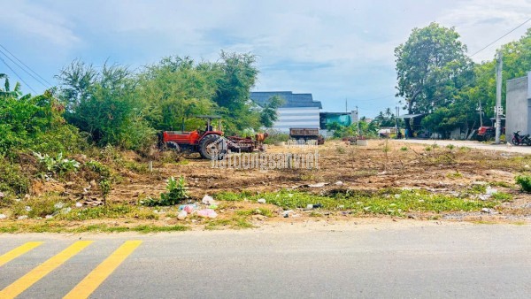Đất nền tại Xã Phước Thể, Tuy Phong, Bình Thuận là cơ hội đầu tư tuyệt vời với nhiều ưu điểm