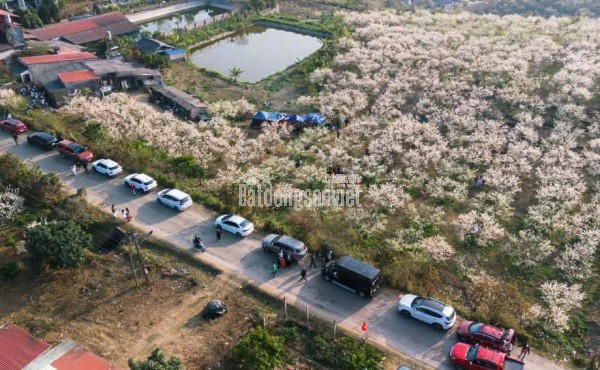 Suất ngoại giao liền kề Palmy Biztown - HDB Thanh Trì – 75m² – giá chỉ từ 148tr/m²
