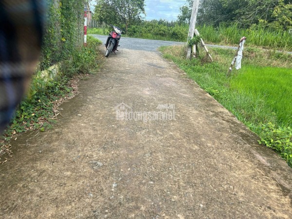SÁT KCN HIỆP THẠNH 5.88X24M FULL ONT CHỈ 370TR - HIỆP Thạnh Gò Dầu Tây Ninh