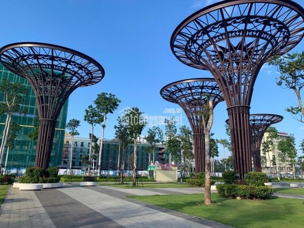 MỞ BÁN CĂN HỘ CHUNG CƯ BIỂN SẦM SƠN TÒA P2 VỊ TRÍ ĐỐI DIỆN QUẢNG TRƯỜNG NHẠC NƯỚC