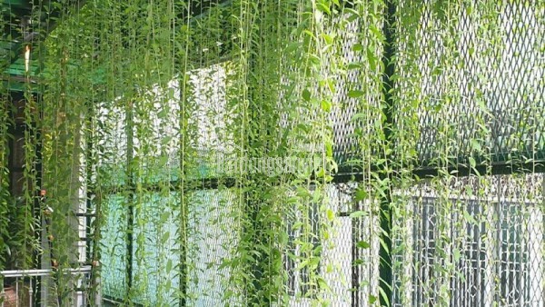 NHÀ LÝ THƯỜNG KIỆT – 5 TẦNG – THU NHẬP ỔN ĐỊNH 25 TRIỆU/THÁNG – SỔ RIÊNG