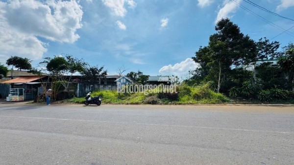 BÁN GẤP 200m² ĐẤT NGAY KHU CÔNG NGHIỆP DẦU TIẾNG – GIÁ CHỈ 290 TRIỆU