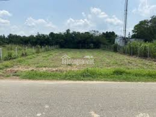 CHÍNH CHỦ BÁN GẤP 200m² ĐẤT GẦN KHU CÔNG NGHIỆP – GIÁ 480 TRIỆU