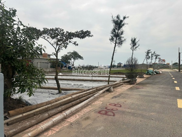 Bán đất nền ven biển Quất Lâm sẵn sổ full cư